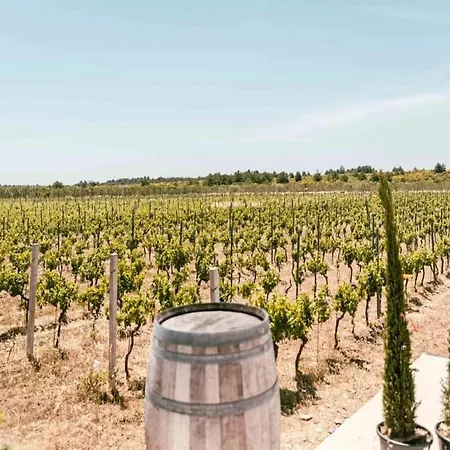 Apartment Luka - One Bedroom With Balcony And Sea View Šibenik